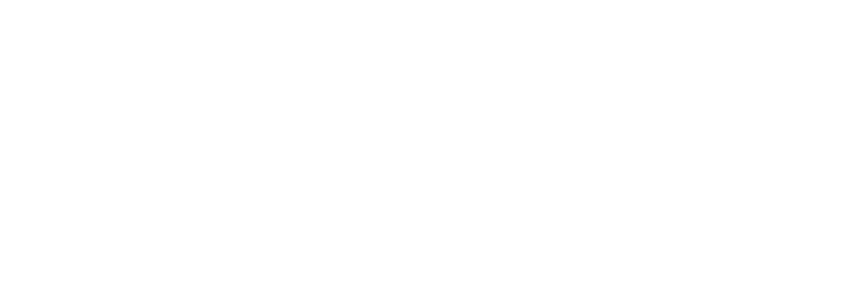 Another life logo